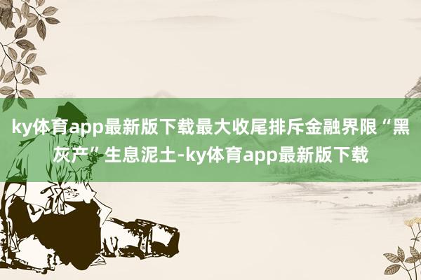 ky体育app最新版下载最大收尾排斥金融界限“黑灰产”生息泥土-ky体育app最新版下载