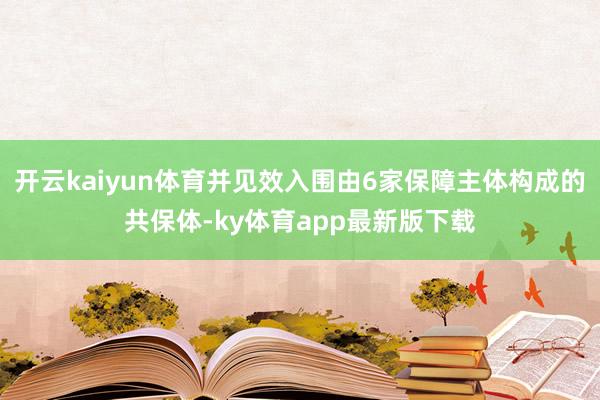 开云kaiyun体育并见效入围由6家保障主体构成的共保体-ky体育app最新版下载