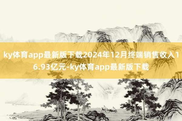 ky体育app最新版下载2024年12月终端销售收入16.93亿元-ky体育app最新版下载