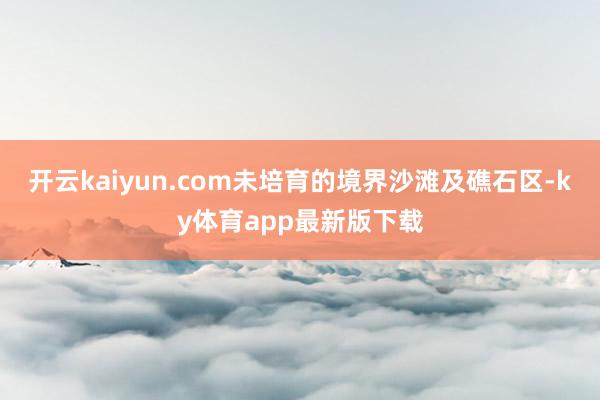 开云kaiyun.com未培育的境界沙滩及礁石区-ky体育app最新版下载