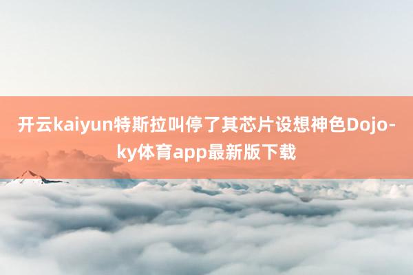 开云kaiyun特斯拉叫停了其芯片设想神色Dojo-ky体育app最新版下载