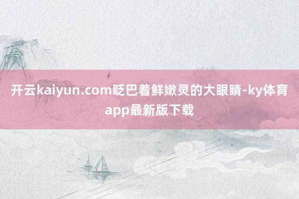 开云kaiyun.com眨巴着鲜嫩灵的大眼睛-ky体育app最新版下载