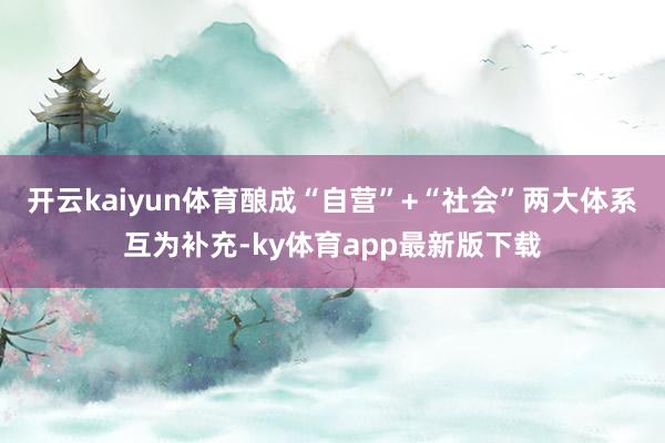 开云kaiyun体育酿成“自营”+“社会”两大体系互为补充-ky体育app最新版下载