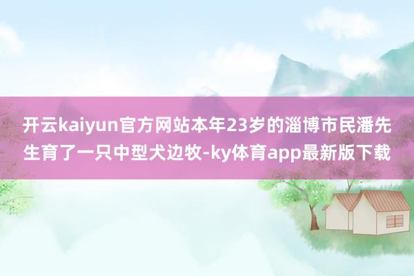 开云kaiyun官方网站　　本年23岁的淄博市民潘先生育了一只中型犬边牧-ky体育app最新版下载